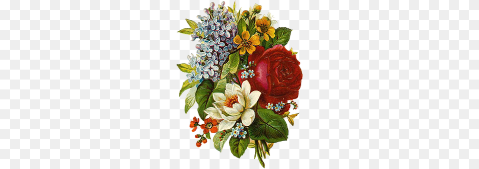 Flower Art, Pattern, Floral Design, Graphics Free Png Download