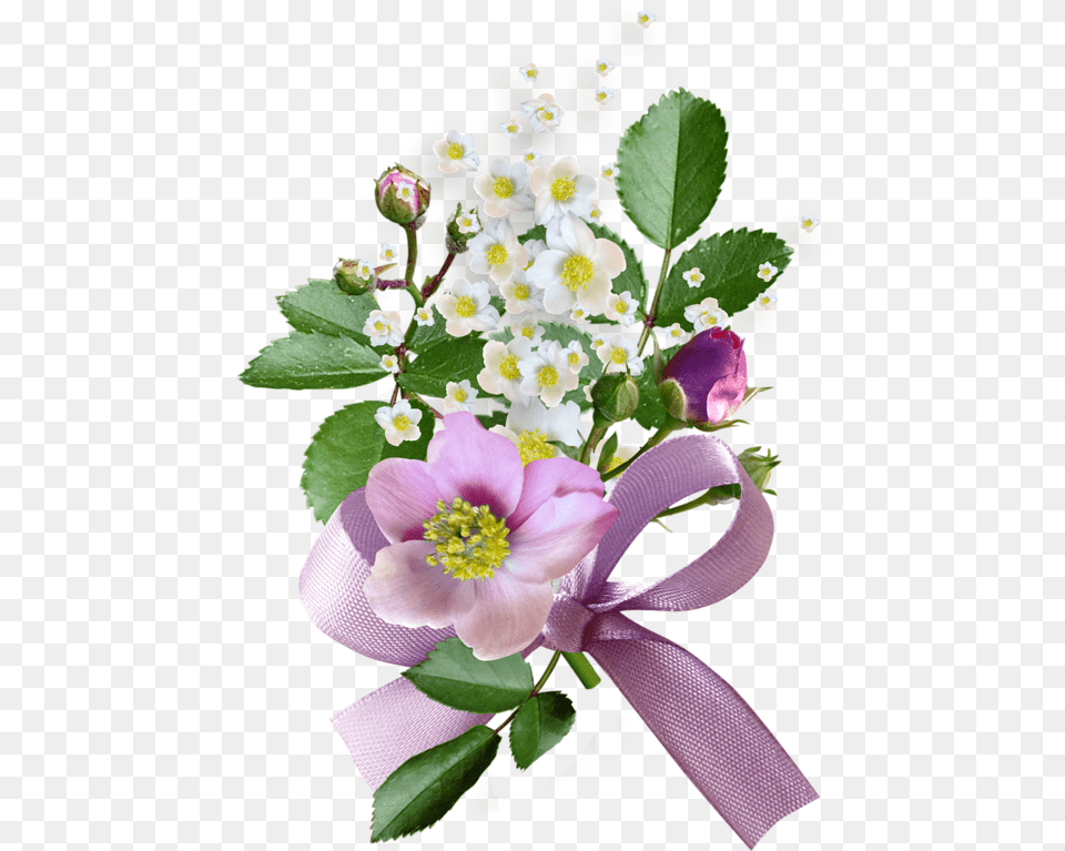 Flower, Anemone, Plant, Flower Bouquet, Flower Arrangement Free Png Download