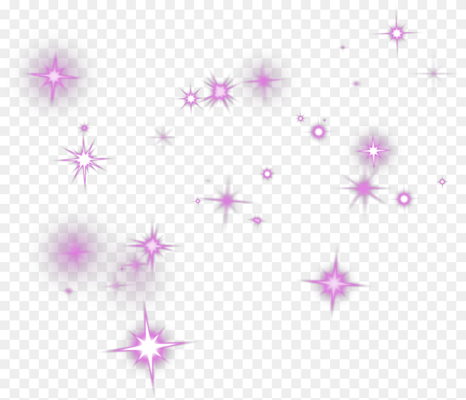 Flower, Lighting, Purple, Flare, Light Free Png