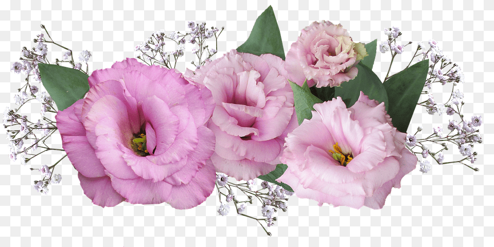 Flower Accessories, Flower Arrangement, Flower Bouquet, Plant Free Transparent Png