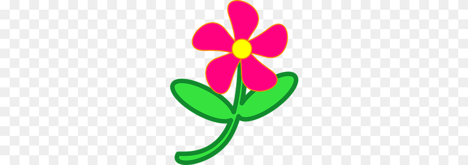 Flower Plant, Petal, Daisy, Anther Png