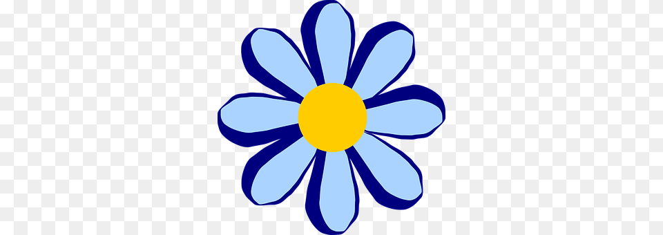 Flower Anemone, Daisy, Plant, Petal Free Png