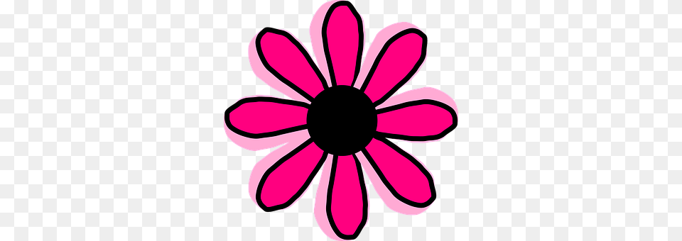 Flower Daisy, Plant, Anemone, Dahlia Png