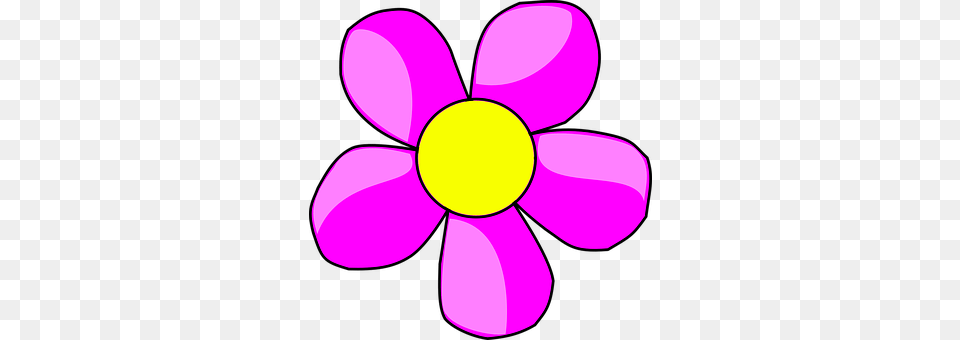 Flower Anemone, Daisy, Petal, Plant Free Transparent Png