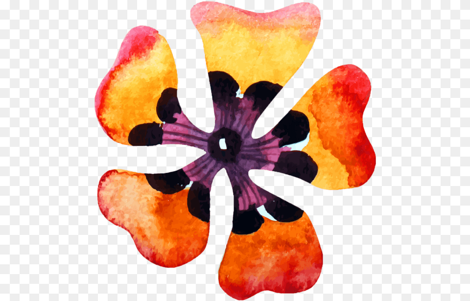 Flower, Petal, Plant, Applique, Pattern Png Image