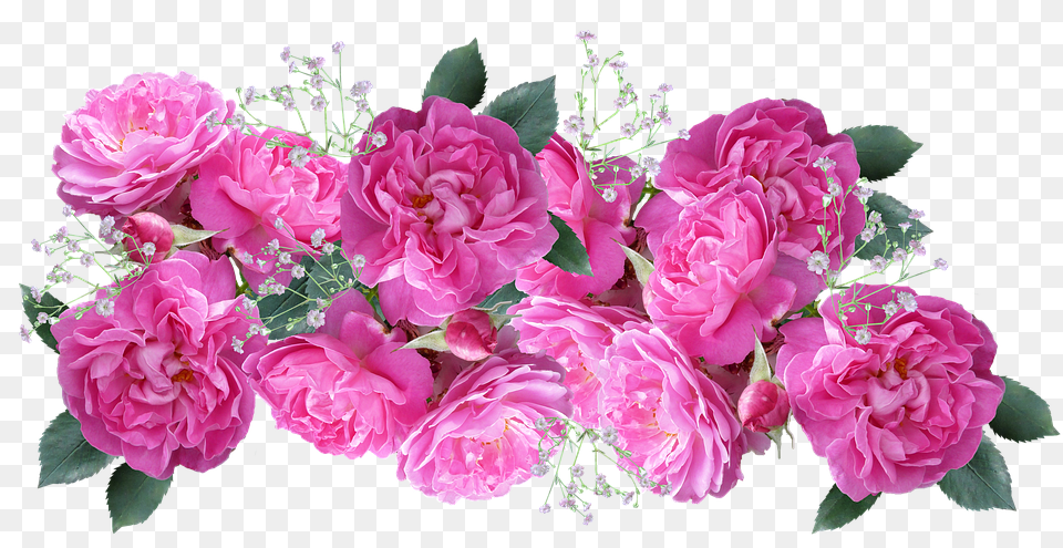 Flower Flower Arrangement, Flower Bouquet, Plant, Rose Png Image