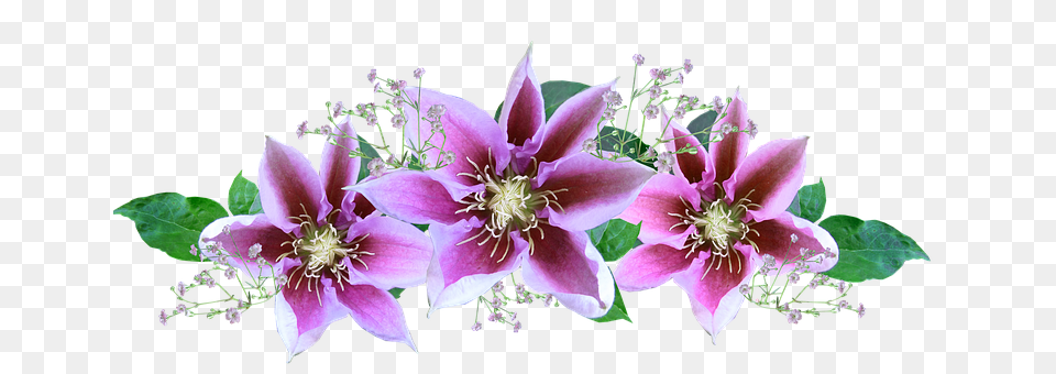 Flower Flower Arrangement, Flower Bouquet, Plant, Anther Png Image