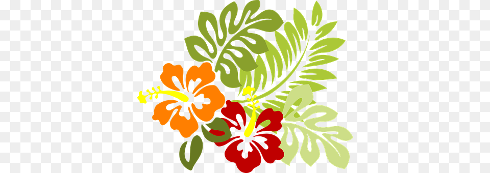 Flower Plant, Hibiscus, Pattern, Art Free Png