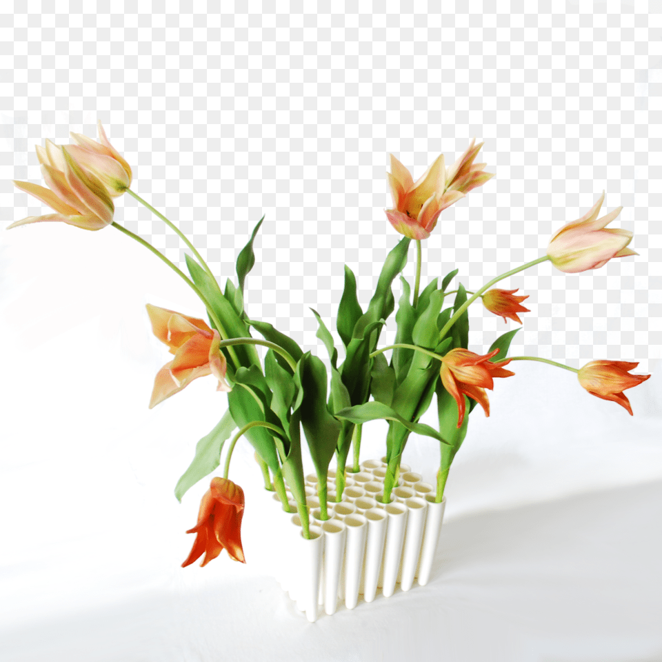 Flower, Flower Arrangement, Flower Bouquet, Plant, Ikebana Free Png Download