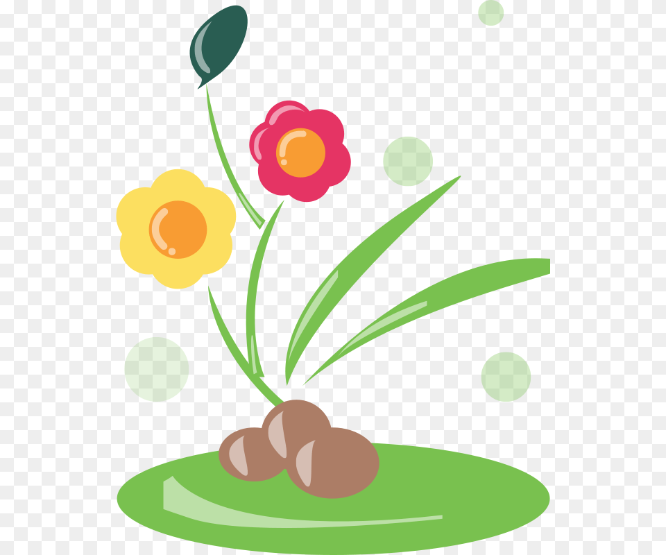 Flower, Art, Floral Design, Plant, Graphics Png