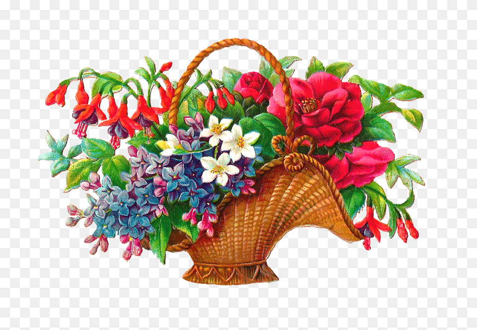 Flower, Flower Arrangement, Flower Bouquet, Plant, Pattern Free Png