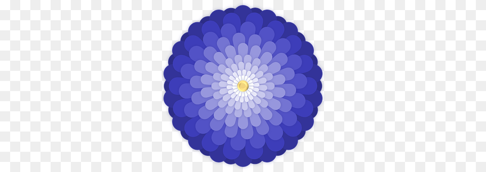 Flower Sphere, Anemone, Plant, Dahlia Free Transparent Png