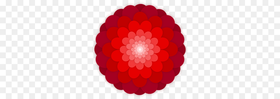 Flower Berry, Raspberry, Produce, Plant Png