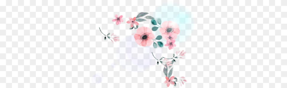 Flower, Anemone, Plant, Petal, Art Free Png