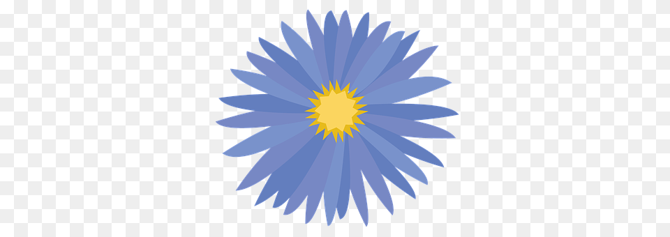 Flower Daisy, Plant, Animal, Bird Png Image