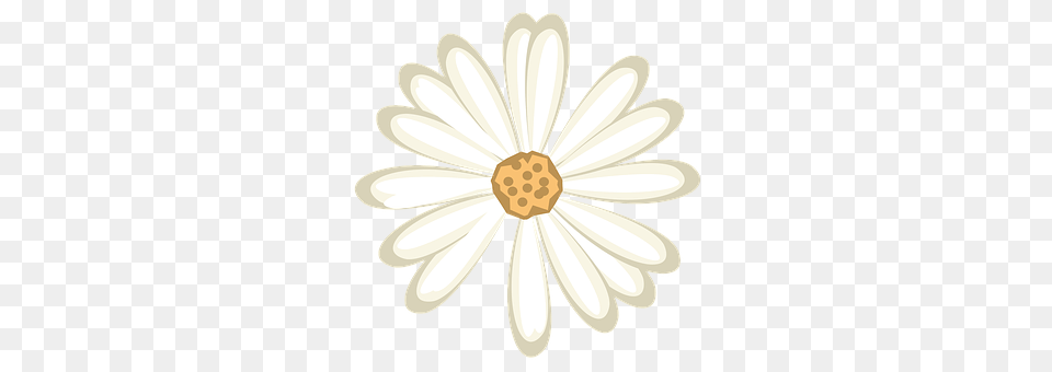 Flower Daisy, Plant, Chandelier, Lamp Png Image