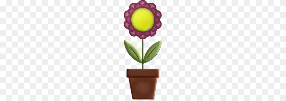 Flower Flower Arrangement, Petal, Plant, Potted Plant Free Transparent Png