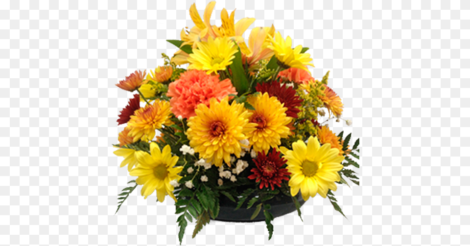 Flower, Flower Arrangement, Flower Bouquet, Plant, Dahlia Free Png