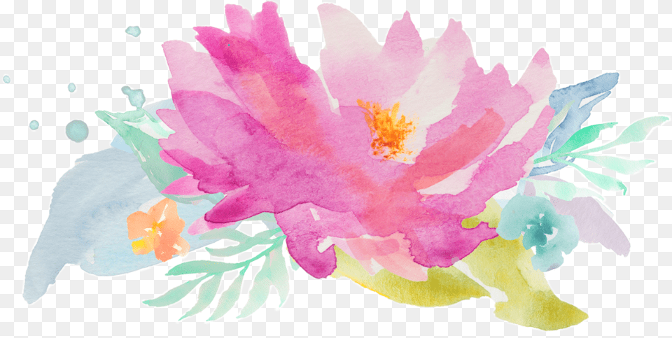 Flower, Art, Graphics, Plant, Petal Free Transparent Png