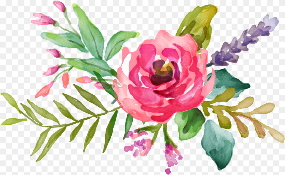 Flower, Art, Floral Design, Graphics, Pattern Png