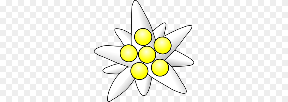 Flower Daisy, Plant, Rocket, Weapon Free Png Download