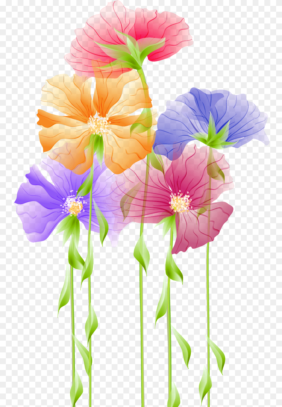 Flower, Petal, Plant, Geranium, Anther Free Png Download