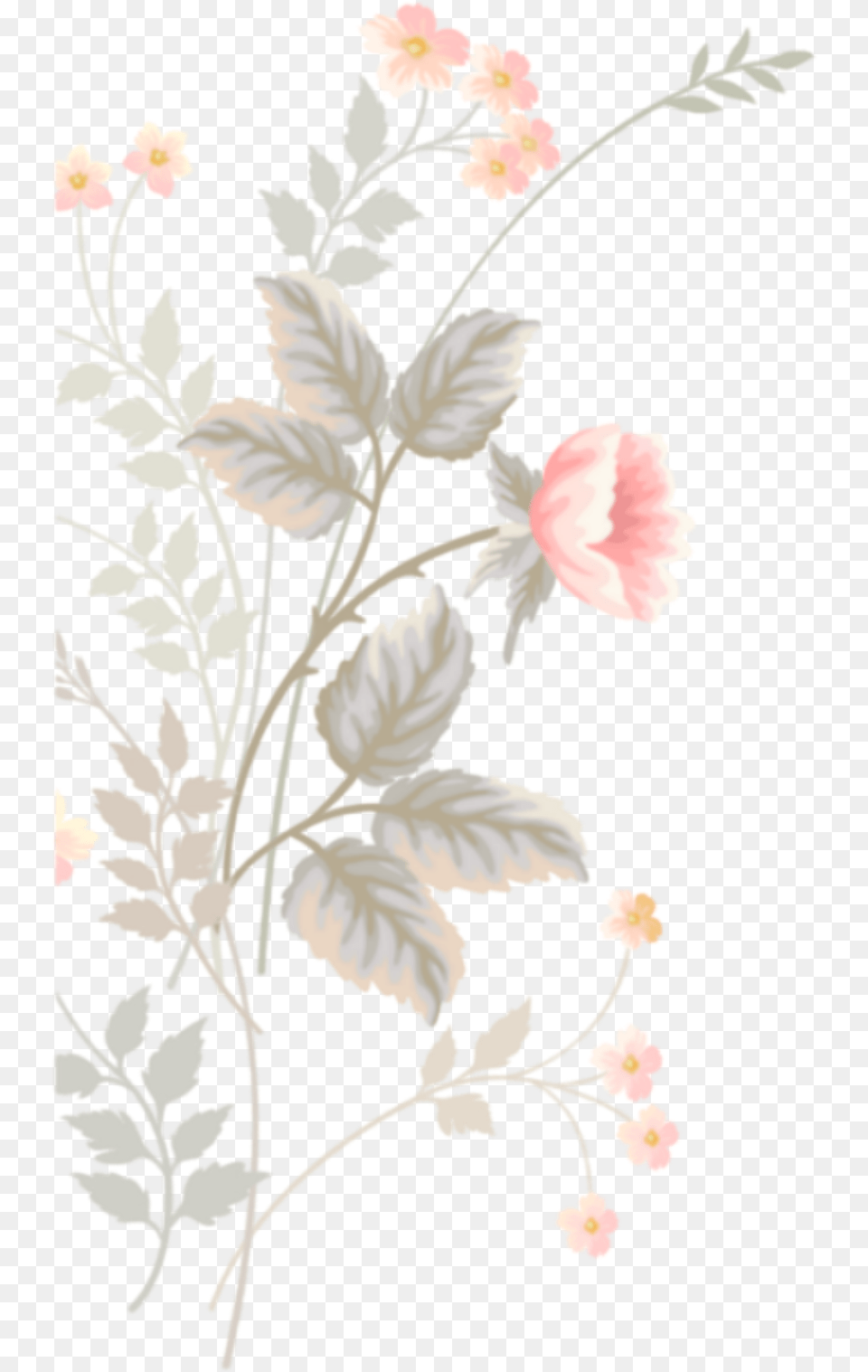 Flower, Art, Floral Design, Graphics, Pattern Png Image