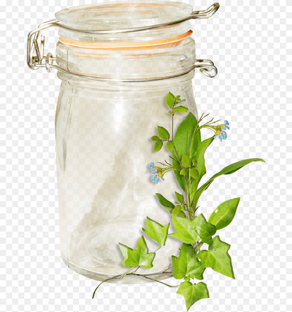 Flower, Jar, Plant, Leaf Png Image