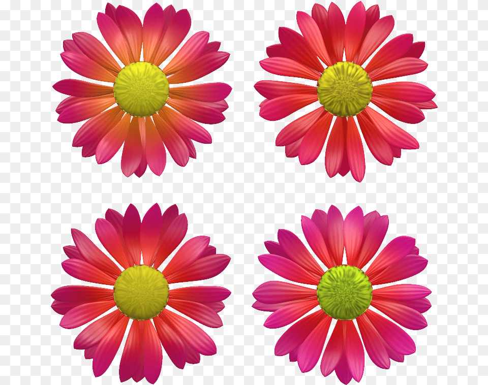 Flower 4 4e Daisy, Petal, Plant Free Transparent Png