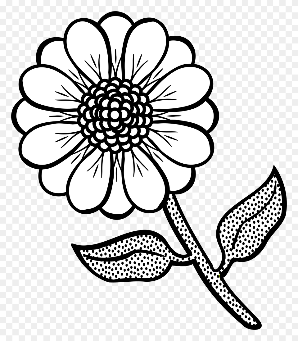 Flower, Dahlia, Daisy, Plant, Art Free Transparent Png