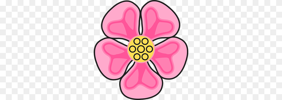 Flower Petal, Plant, Disk, Daisy Png Image