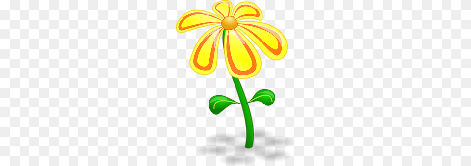 Flower Anther, Daisy, Petal, Plant Png