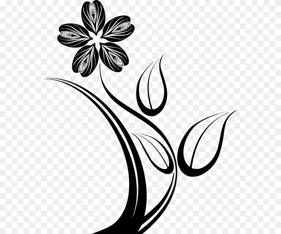 Flower, Gray Free Png Download