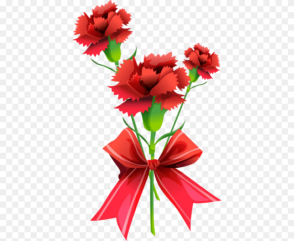 Flower, Carnation, Plant Free Transparent Png