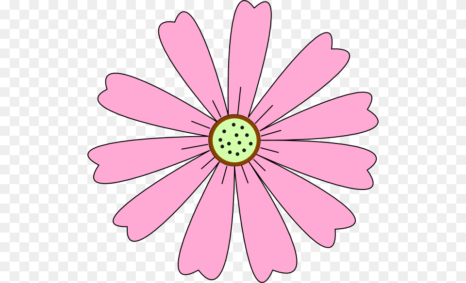 Flower, Daisy, Petal, Plant, Appliance Free Png Download