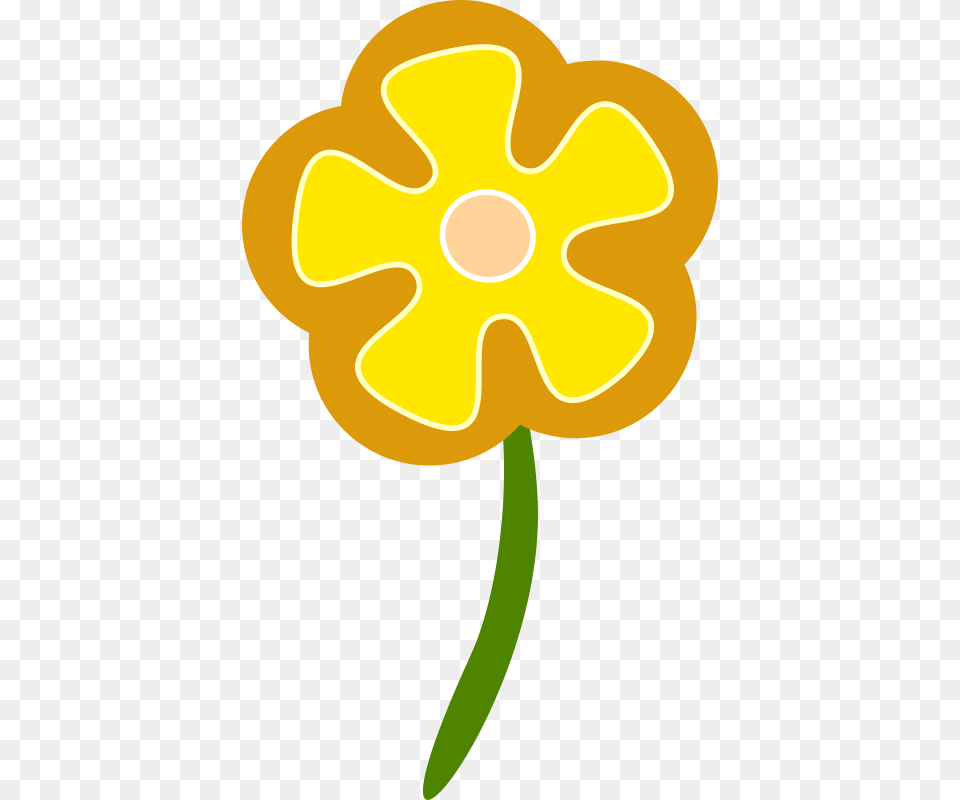 Flower, Daffodil, Daisy, Petal, Plant Free Png Download