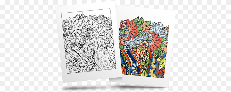 Flower Adult Coloring, Art, Drawing, Modern Art, Blackboard Free Png Download
