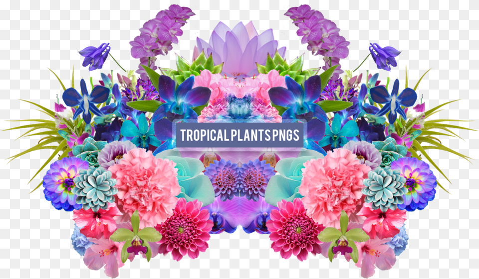 Flower Aesthetic 4 Image Aesthetic Tropical Flowers, Art, Purple, Plant, Pattern Free Transparent Png