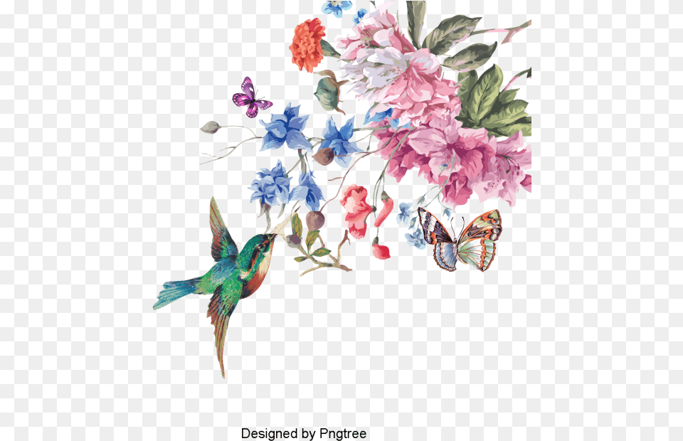 Flower Amp Bird, Animal, Plant, Petal, Pattern Free Transparent Png