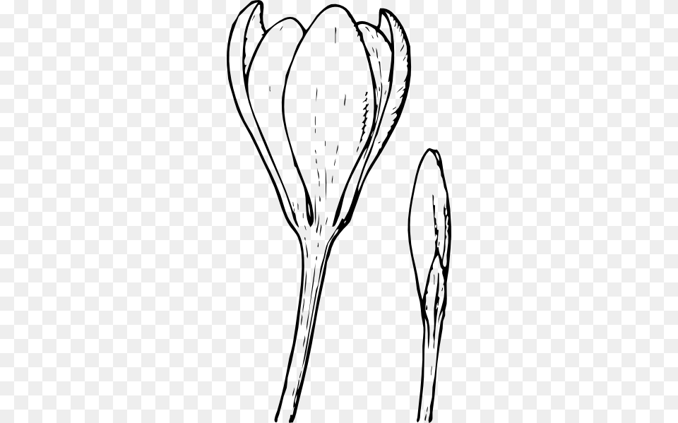 Flower And Bud Clip Art Vector, Drawing, Plant, Cutlery, Spoon Png Image