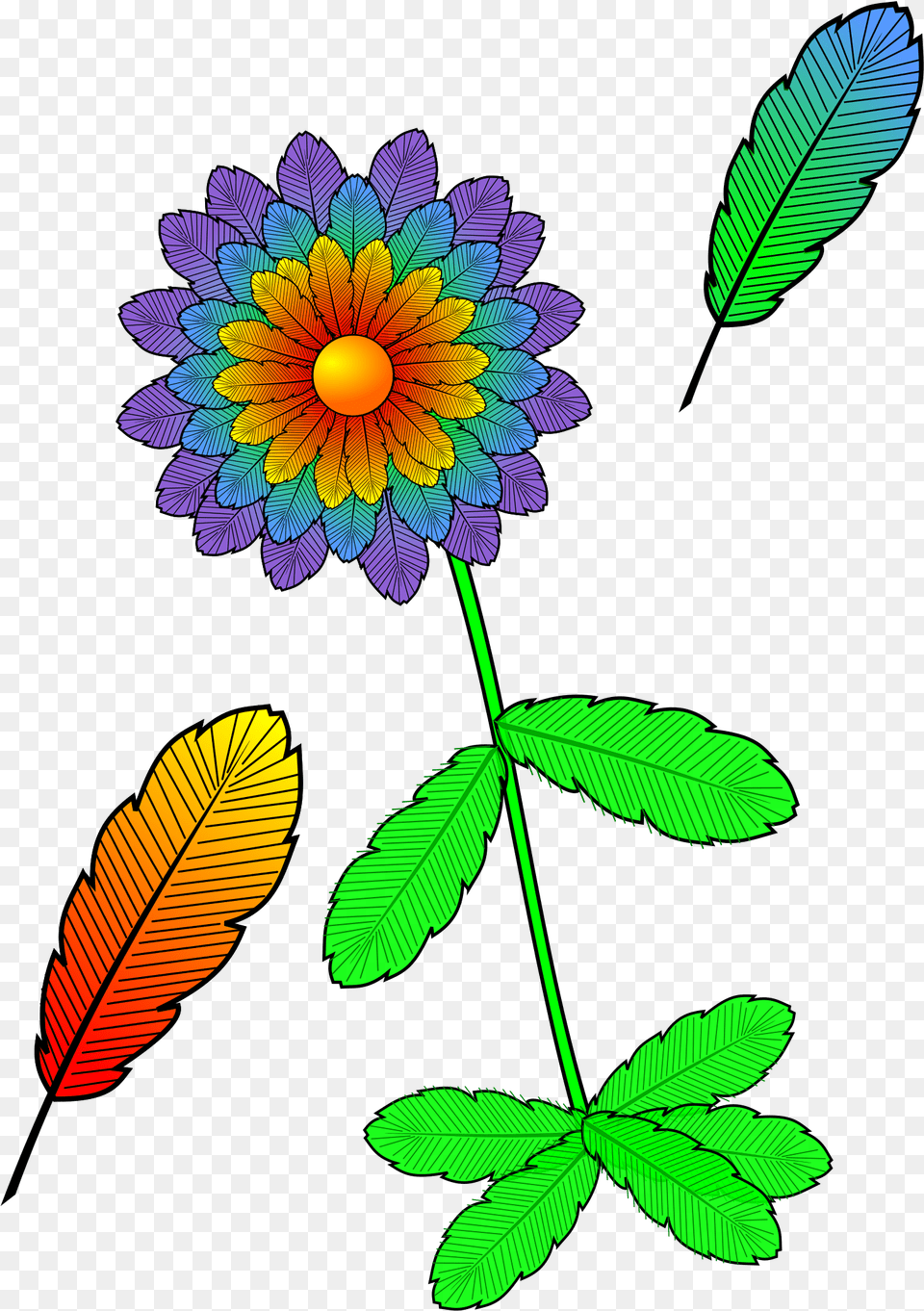 Flower And Feather Clip Art, Plant, Pattern, Leaf, Graphics Free Transparent Png