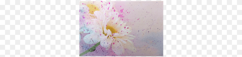 Flower And Watercolor Splatter Poster Watercolor Painting, Daisy, Petal, Plant, Art Free Png Download