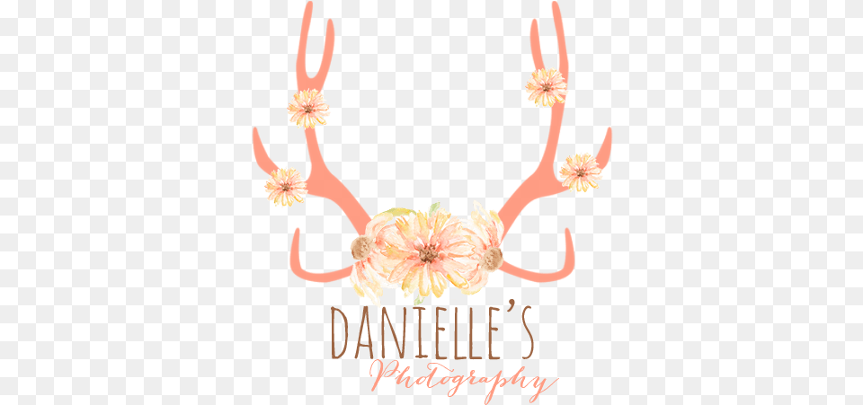 Flower Antler Transparent, Accessories, Plant, Wedding, Person Free Png Download