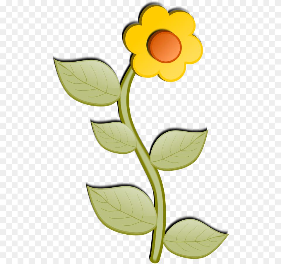 Flower Art Images, Plant, Daisy, Petal, Sunflower Free Png