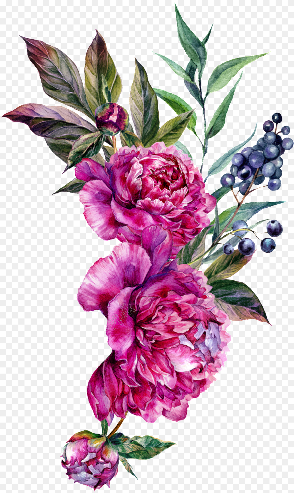 Flower Art Peony Flower Photos Download, Plant, Flower Bouquet, Flower Arrangement, Rose Free Png