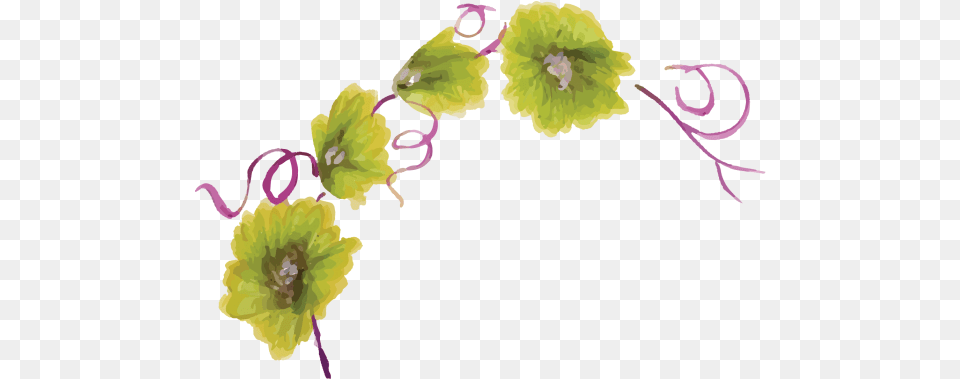 Flower Artificial Flower, Anther, Plant, Flower Arrangement, Petal Png