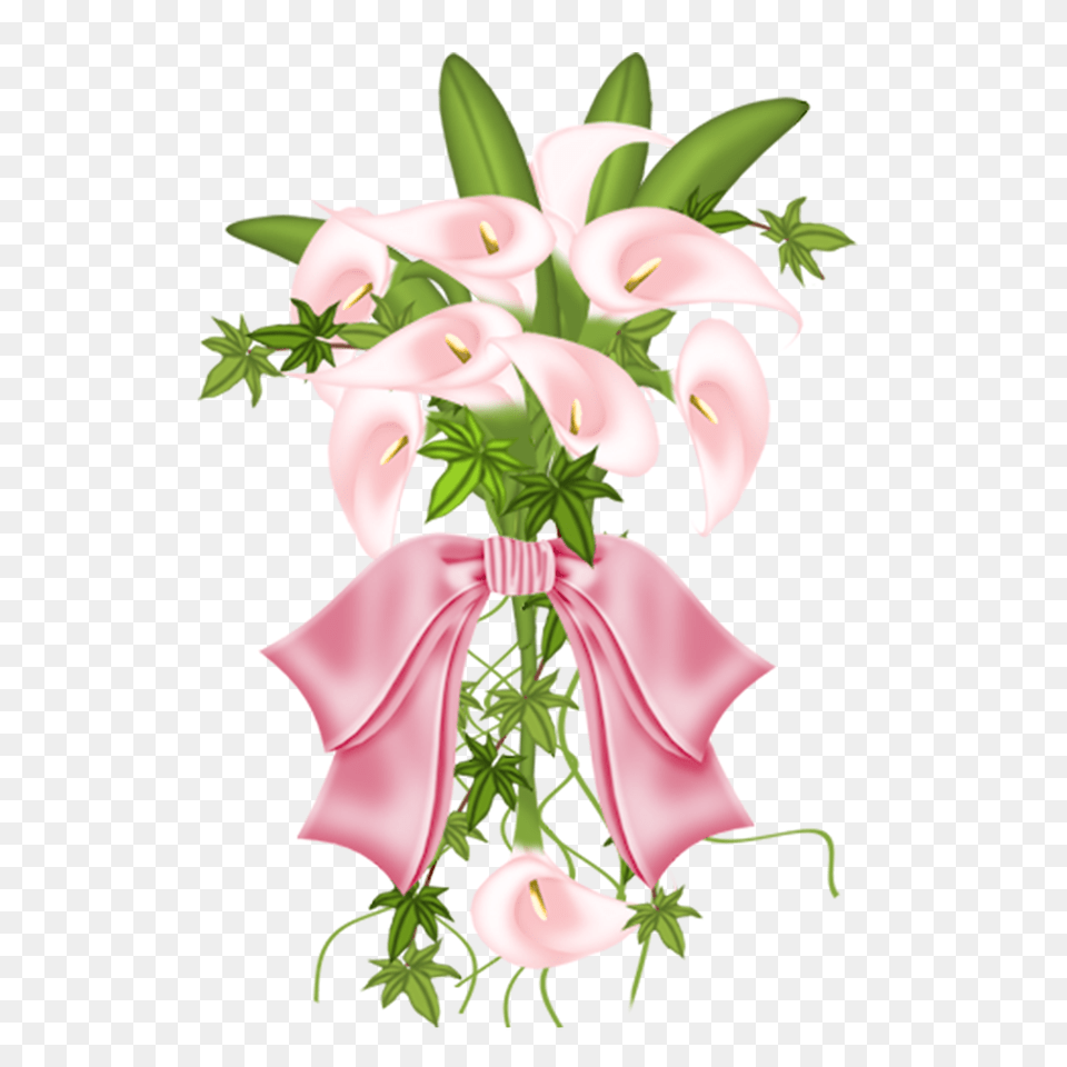 Flower Arum Lily Computer Icons Clip Art, Plant, Pattern, Graphics, Flower Bouquet Free Png Download