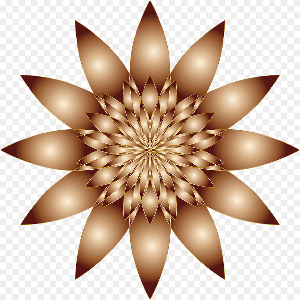Flower Background Images Brown Flower No Background, Lighting, Pattern, Accessories, Art Free Transparent Png