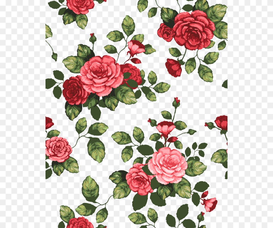 Flower Backgrounds Flower Wallpaper Pattern Wallpaper Paper Full Flower Drawing, Art, Floral Design, Graphics, Plant Free Png