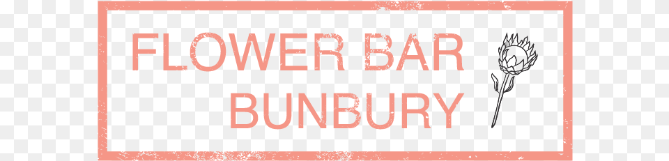 Flower Bar Bunbury L Americano Espresso Bar, Text Free Transparent Png